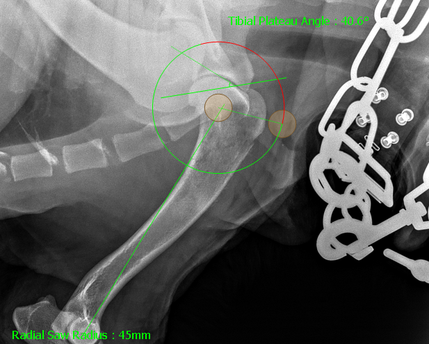 verbesserte TPLO Messung