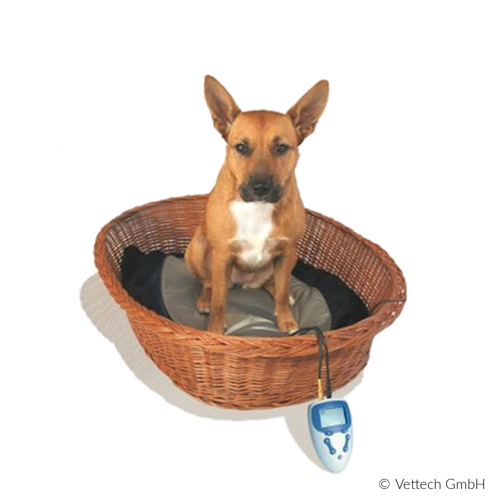 MAGmobilPETHund MAGmobil PET Hund