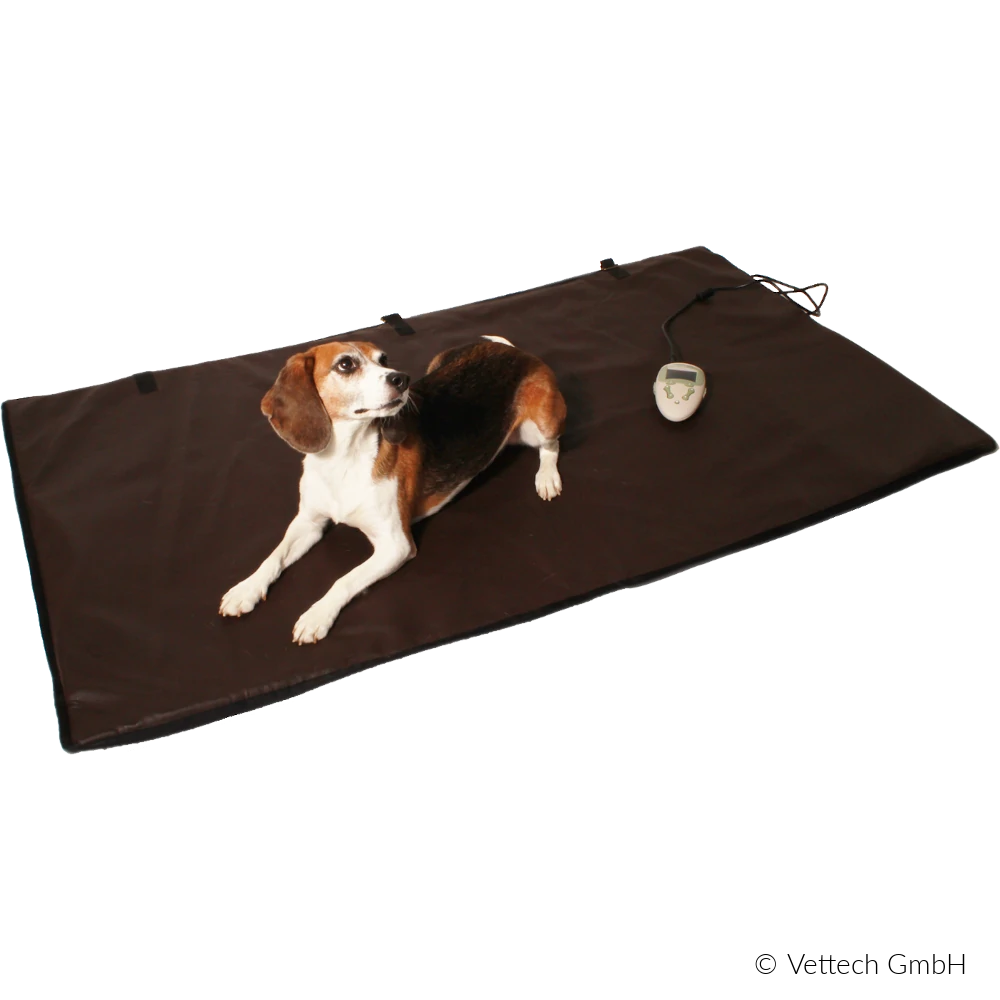 MAGmobi Universal Hund