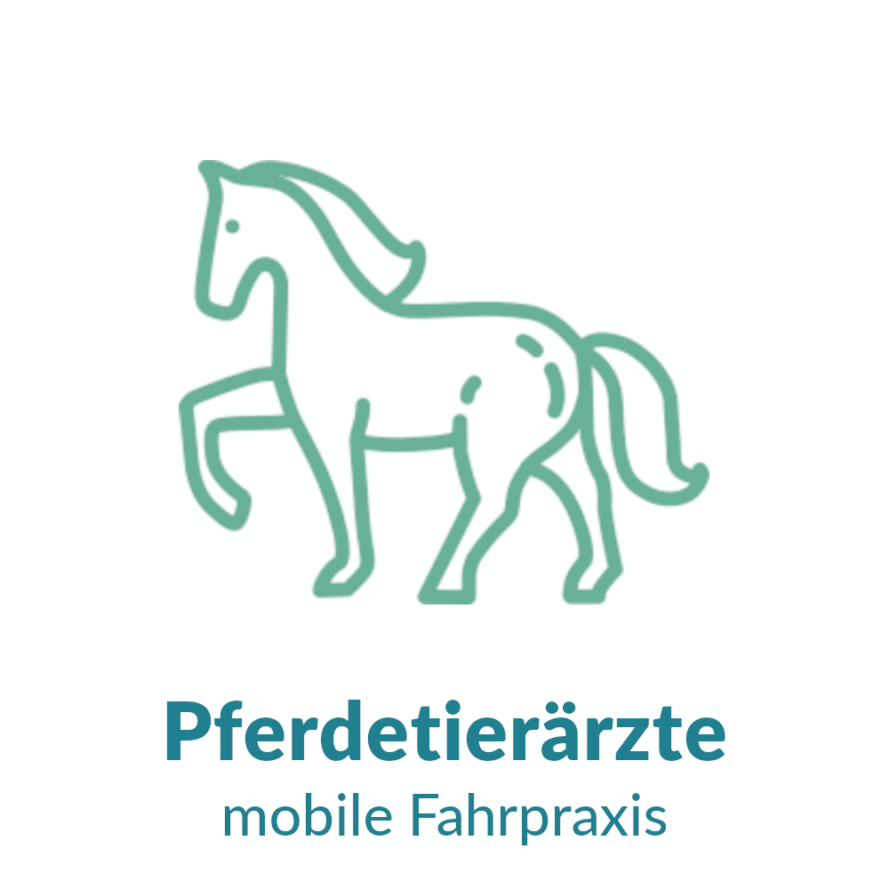 Pferdetierarzt