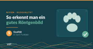 So erkennt man ein gutes Röntgenbild – Qualität in 5 Punkten